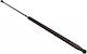 Gas Strut Bonnet Trunk Fiat Croma 06.05 Ml5795