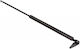 Amortizoare Portbagaj Mazda 323 98-04 Hatchback Dreapta 140225