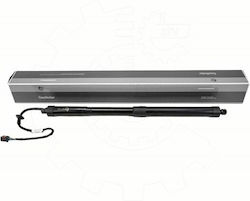 Amortizoare Ușă Spate Hyundai Santa Fe Iii Dreapta 817802w600 Amortizoare Ușă Spate Hyundai Santa Fe Iii Dreapta 817802w600