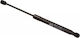 Gas Strut for Bonnet Trunk Kia Picanto 05.11 817701Y010