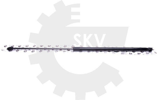 Αμορτισέρ Καπό Κινητήρα Vw Golf V Jetta Iii 1k0823359a 1k0823359a