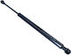 Gas Strut for Bonnet Trunk Audi Ttrs Quattro 05.16 8s7827552b