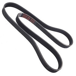 Curea Poly V Ford Focus Mondeo Fiesta Kuga C-Max S-Max Galaxy Edge Puma Tourneo Connect 1731697