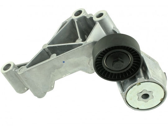 Τεντωτήρας Ιμάντα Micro Ford Transit Connect 02 Set 1.8 Tdci 1069359