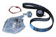 Renault Clio 1,5 01 119a02421r Autotriebwerk Riemen Satz