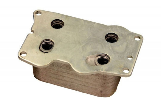 Maxgear Maxgear Auto-Kühlschrank für Peugeot 407