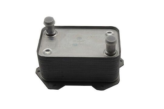Ψυγειο Λαδιου Audi R8 07-15 420117013e