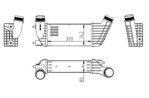 Intercooler Expert 2.0hdi 07 0384.j9