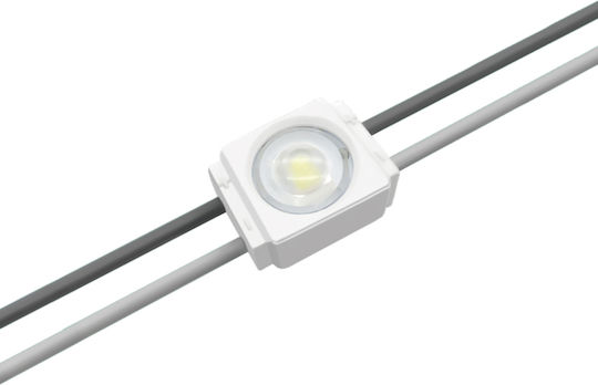 Мини Модул 1l 2835led Ip65 0.24w 130x160d Бял 12vdc 8000k-10000k