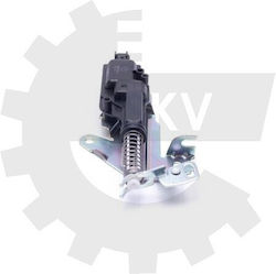 SKV Autotürteile mit Platzierung Rückseite Ford Fiesta / Vereinigung 1481081