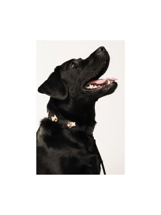 Unicord Waterproof Handmade Dog Collar and Choker Crocs Charm Black Dogs 30-36cm Small