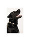 Unicord Waterproof Handmade Dog Collar and Choker Crocs Charm Black Dogs 30-36cm Small
