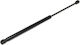 Gasdruckdämpfer Aveo Hatchback 2011-03 Hinten 95152165