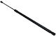 Gas Strut for Trunk Cover Kia Ceed 18 525N 81770J7200