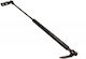 Amortizoare Portbagaj Mazda 626 97-02 Dreapta 140229