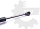 Αμορτισέρ Πίσω Πόρτας Lexus Gs _s19_ 645300w091