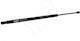 Amortizoare Portbagaj Citroen C4 04 Coupe 8731j9