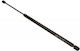 Gas Strut for Bonnet Trunk Citroen C4 Grand Picasso 10.06-08.13