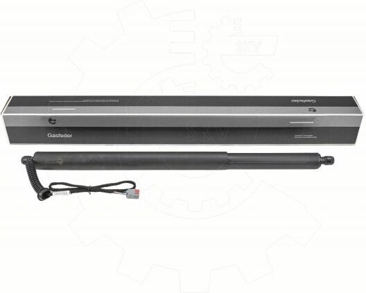 Kofferraum-Schock Ford Kuga Mk III Links Lv4bs402a55ab
