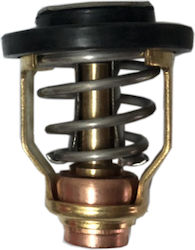 Thermostat Suzuki 17670-90j00