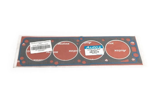 Garnitură De Tip Cască Lanos 1.4 1.5 Ohc 97 96181216