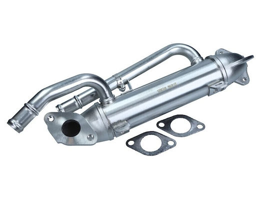 Maxgear Auto-Dichtungen Egr Ventil Volkswagen Passat 2.0 Tdi 03-05 9807593080