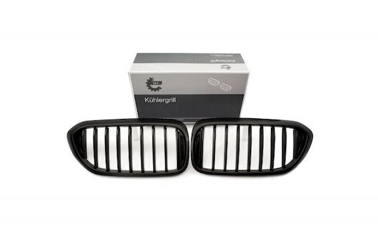 Капак На Мотор С Една Черна Матирана Лента БМВ 5 G30 51712430993