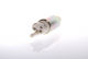 Saxo Fuel Pump 106 Ax Zx 1.0 1.1 1.4 145504