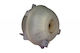 Expansion Tank Volkswagen Polo Skoda Fabia 1.4/1.9 Tdi 77-0026