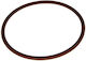 O-ring Αντλίας Έγχυσης Λαδιού Fiat/iveco 17290481
