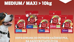 Purina One 12kg Dry Dog Food with Chicken and Rice Purina One 12kg Dry Dog Food with Chicken and Rice