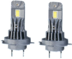 CarGuard Λάμπες H7 LED Λευκό 2τμχ