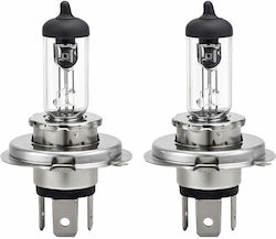 Poly Poly Autolampen H4 P43T Halogen 2500K Warmes Weiß 12V 2Stück