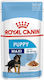Royal Canin Puppy Wet Dog Food 140gr