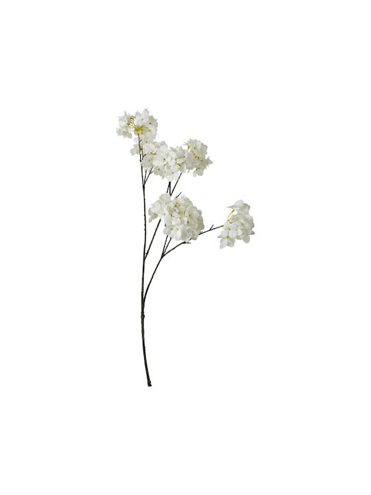 Planta Decorativă Hortensia Arpimex Srl Arp-a34913-wh