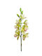 Διακοσμητικό Λουλούδι Cimbydium 77εκ Arpimex Srl Arp-a20579-gr