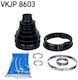 Ansamblu Planetară Articulație Planetară Skf Vkjp 8603