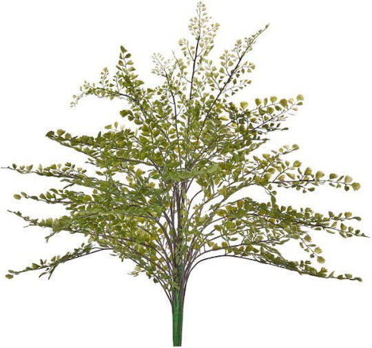 Декоративен Клон Capelvenere Arpimex Srl Arp-a29540