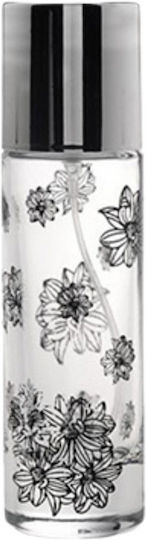 Glasflasche 30 ml Spray Silber Aluminiumdeckel