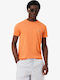 T-Shirts Kurzarm Orange