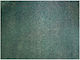 Green Shade Net 6x6m