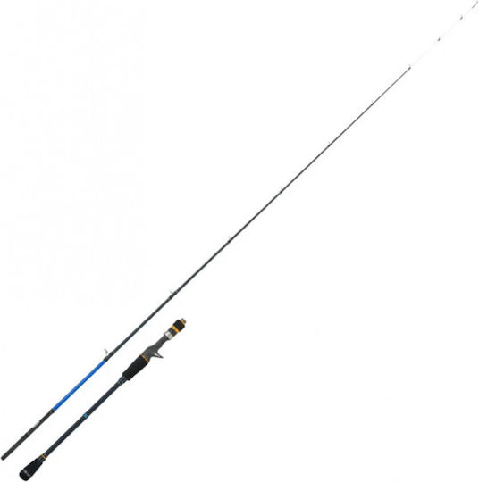 Cinnetic Rayforce Slow Pitch Class 200 Καλάμι Ψαρέματος για Slow Jigging 1.91m 150-350gr