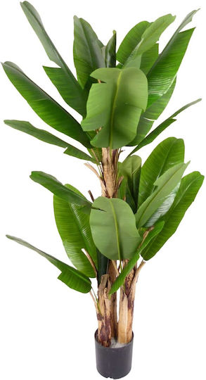 Artekko Green Artificial Musa Tree Pot 180cm x 180cm