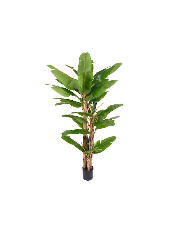 Artekko Verde Green Artificial Musa Tree Pot 210cm X 210cm