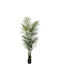 Artekko Grünes Künstliches Pflanze Lady Palm Topf 140cm X 140cm