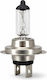 Lămpă Auto H7 12v 55w Px26d Halogen Lumini De Drum & Fază Medie – Cd-1956