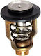 Yamaha Auto-Thermostat