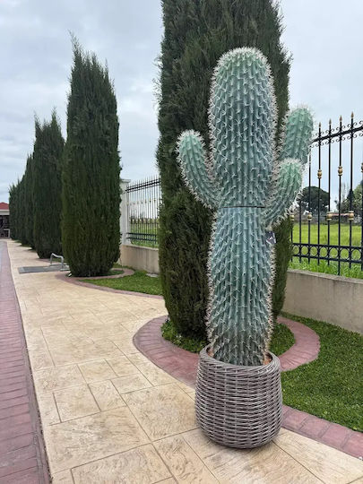 Artificial Cactus 195cm Modern Eva Pot
