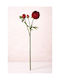 Buttercup Flower Red Blooms 10x5x51cm Solid Colour Kaeming