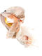 ButicCochet Women's Multicolour Scarf